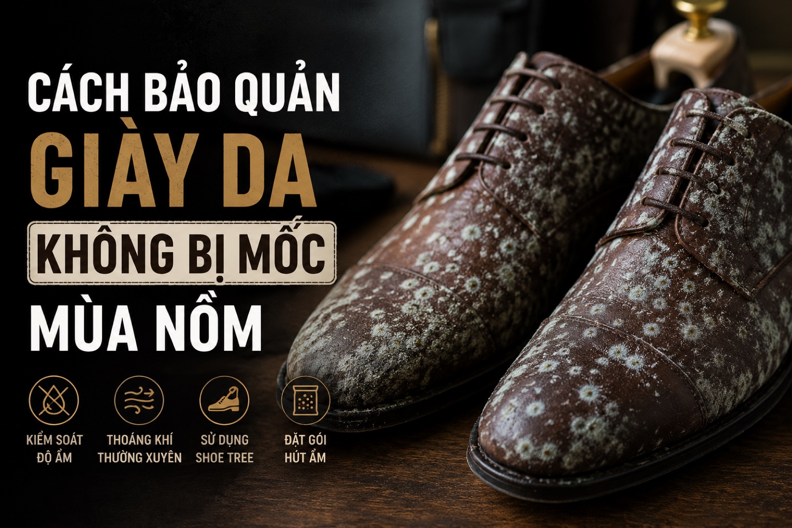 BẢO QUẢN ĐỒ DAĐÚNG CÁCH TRONGTHỜI TIẾT HÀ NỘI